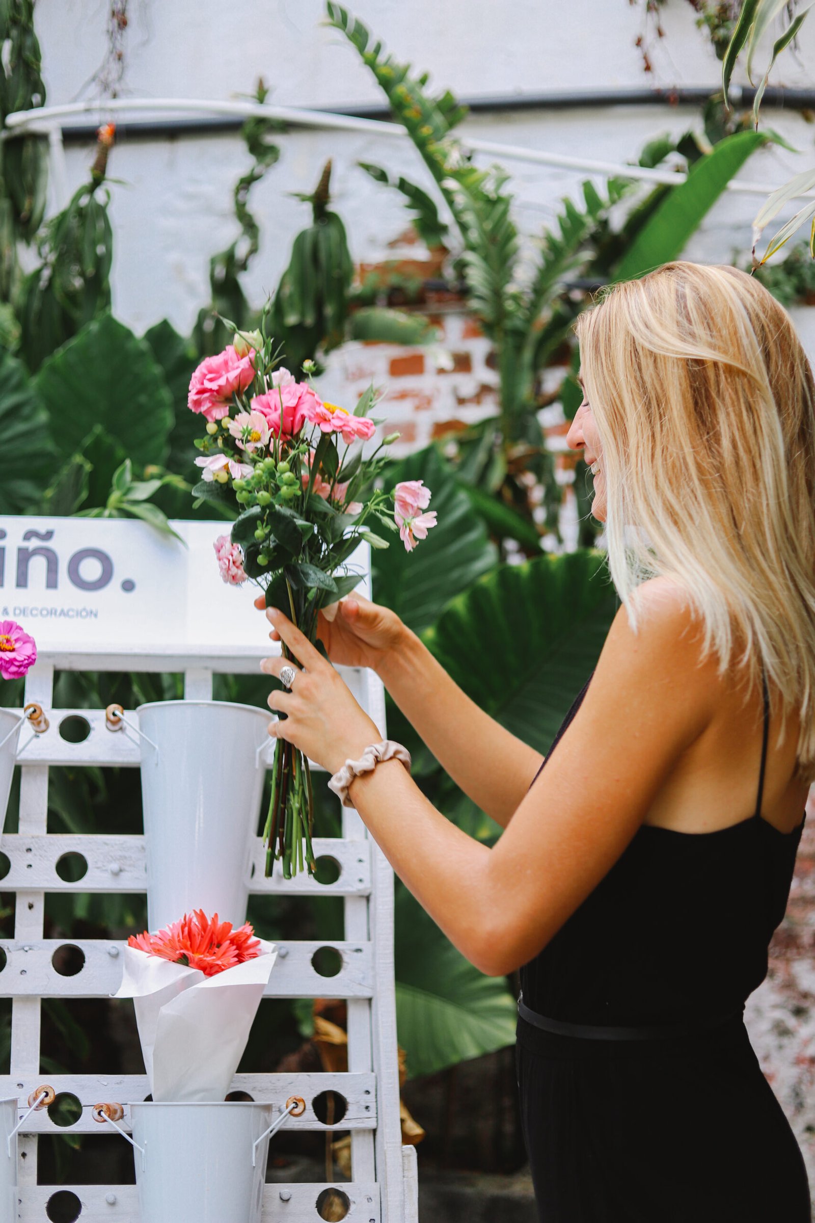 Imagen De La Bandera