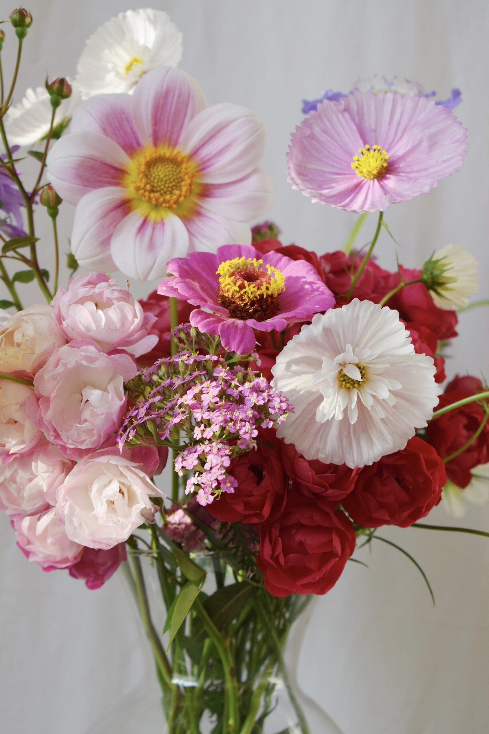 Imagen De La Bandera