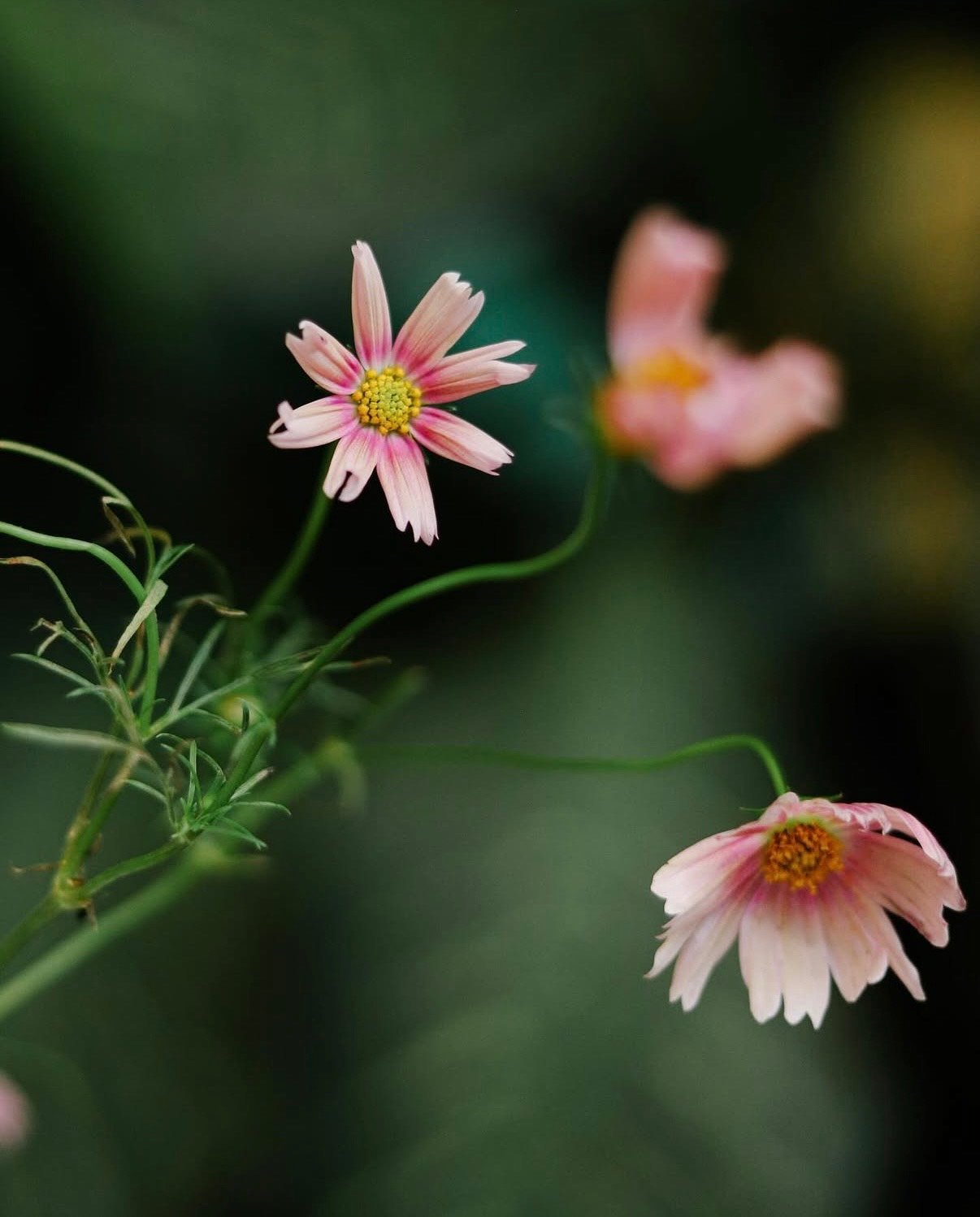 Imagen De Control Deslizante