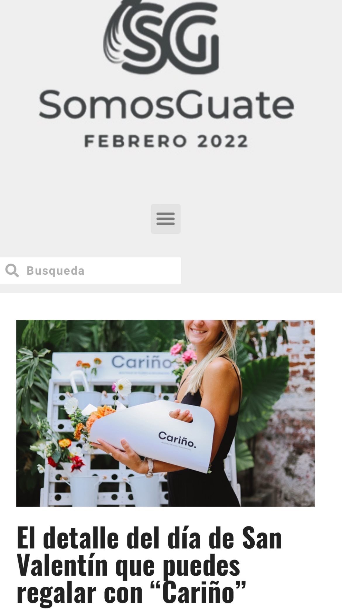 Imagen De La Bandera