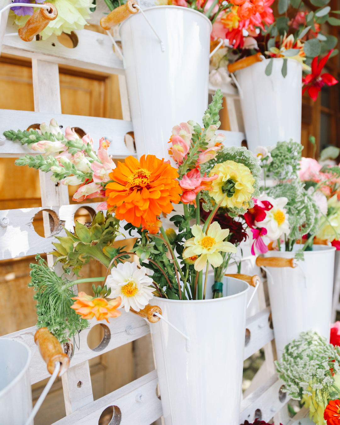 Imagen De La Bandera