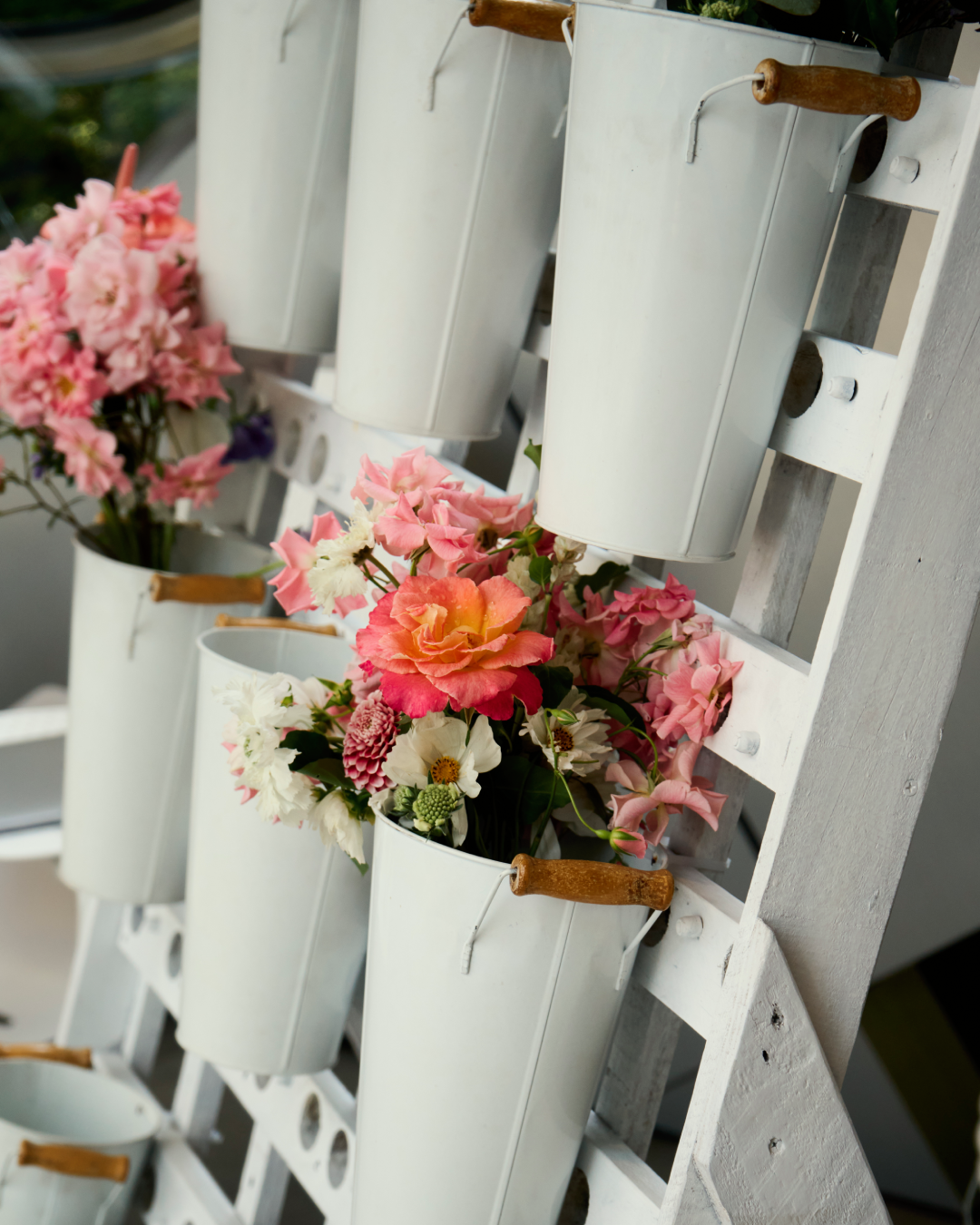 Imagen De La Bandera